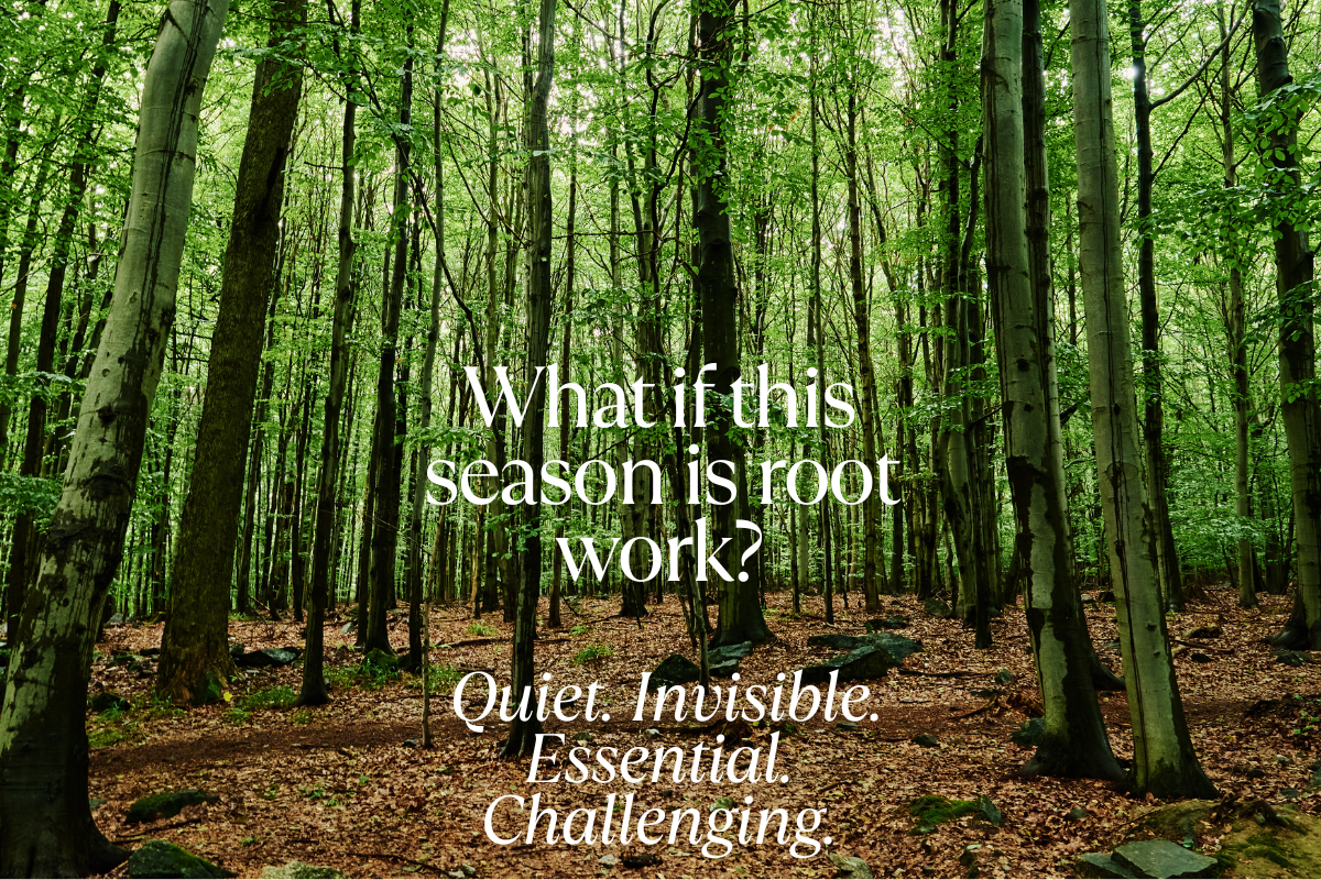 What if this season is root work? Quiet. Invisible. Essential. Challenging.