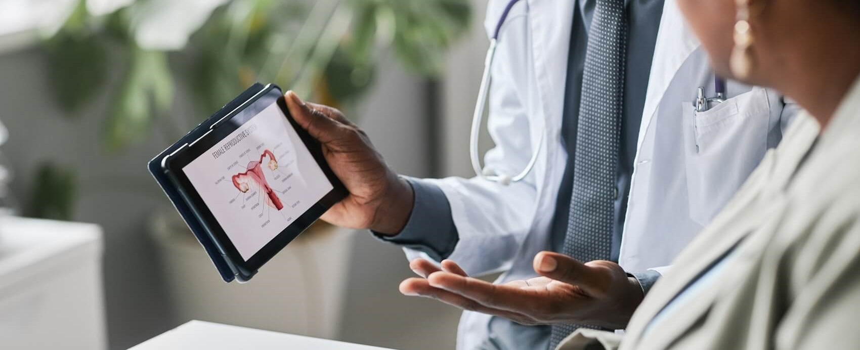 Fertility doctor showing uterus anatomy